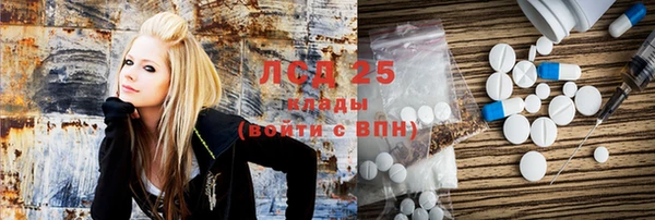 индика Козловка